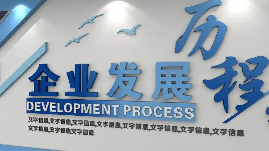 发展历程